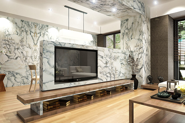 وحدة تلفزيون